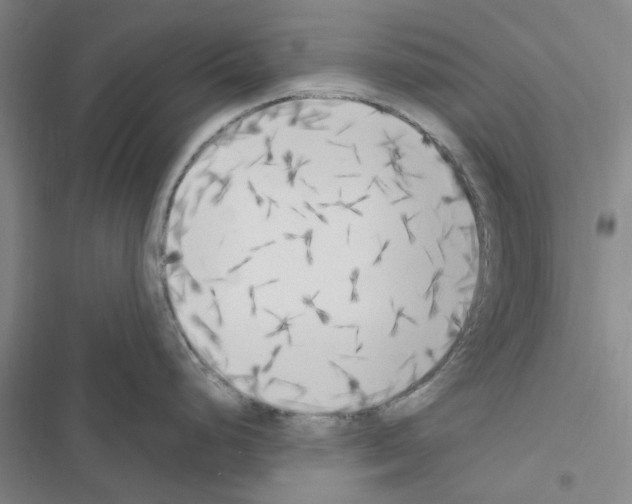 X0000116511248201001201438