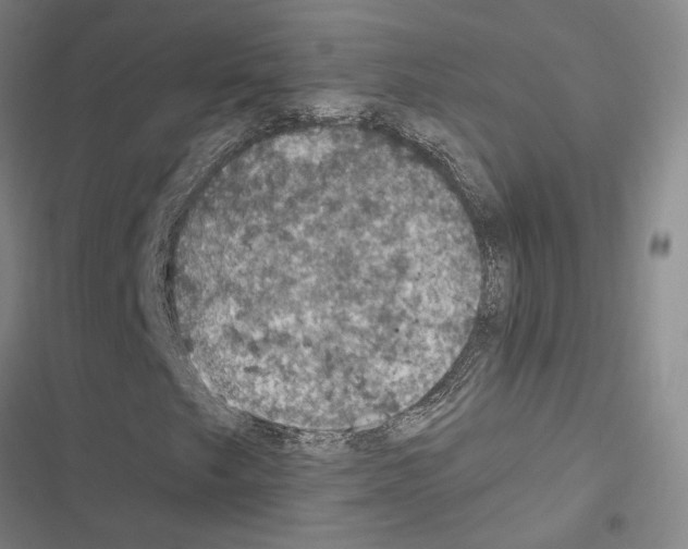 X0000116511249201001201438