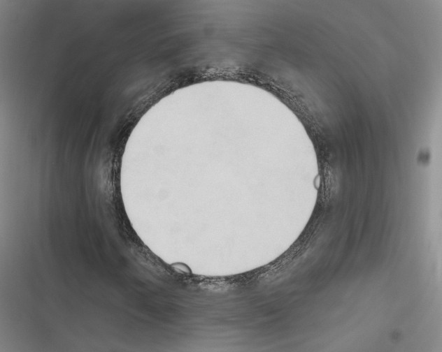 X0000116511250201001201438