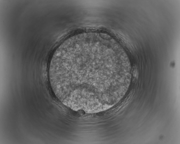 X0000116511252201001201438