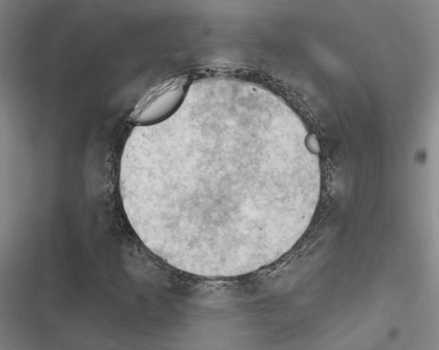 X0000116511253201001201438