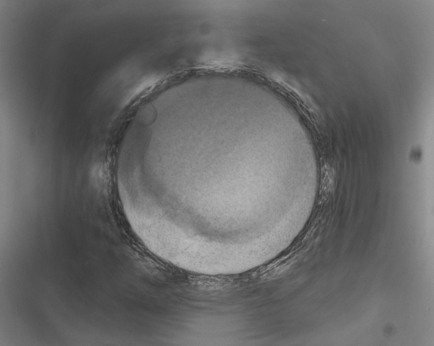 X0000116511254201001201438