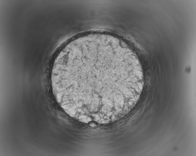 X0000116511256201001201438