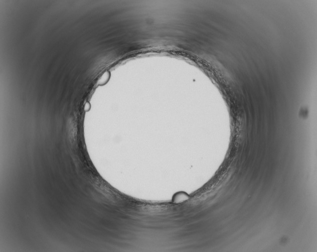 X0000116511257201001201438
