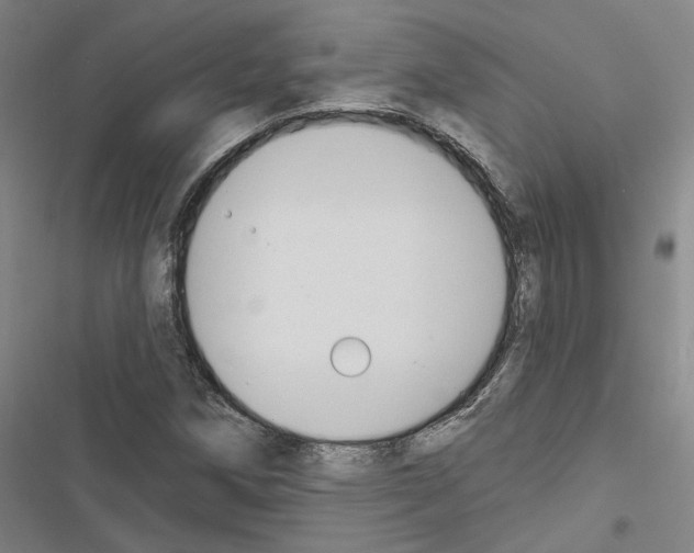 X0000116511258201001201438
