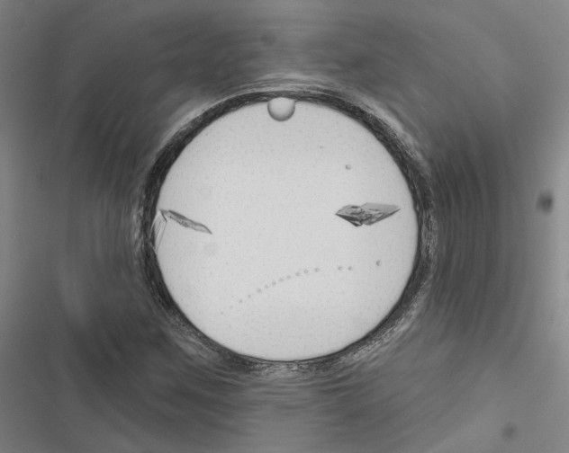 X0000116511259201001201438
