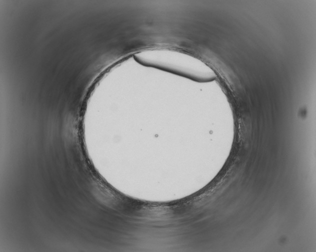 X0000116511260201001201438