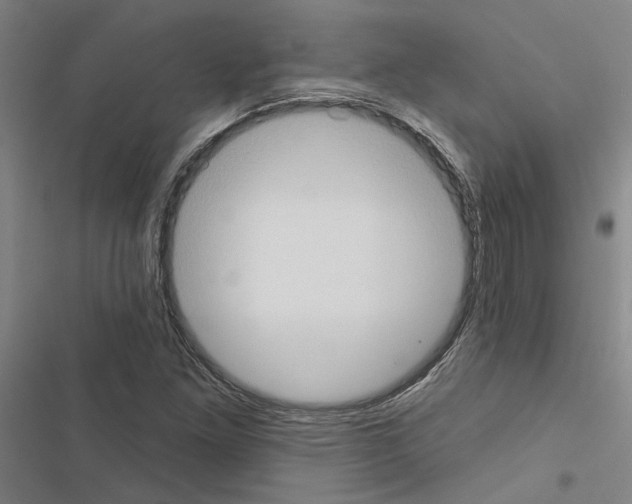 X0000116511261201001201438