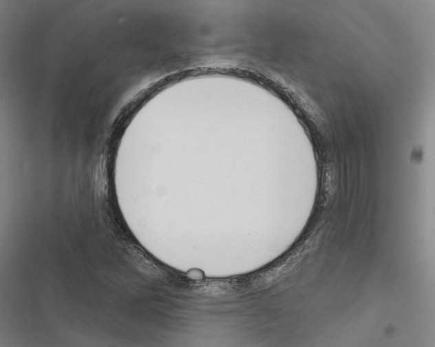 X0000116511262201001201438