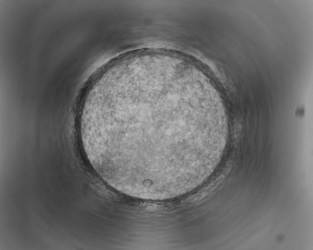 X0000116511263201001201438