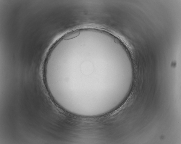 X0000116511264201001201438