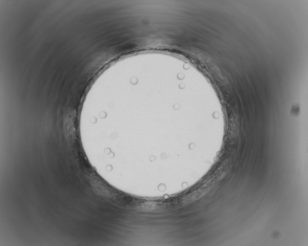 X0000116511265201001201437