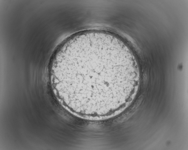 X0000116511267201001201437