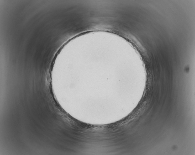 X0000116511268201001201437