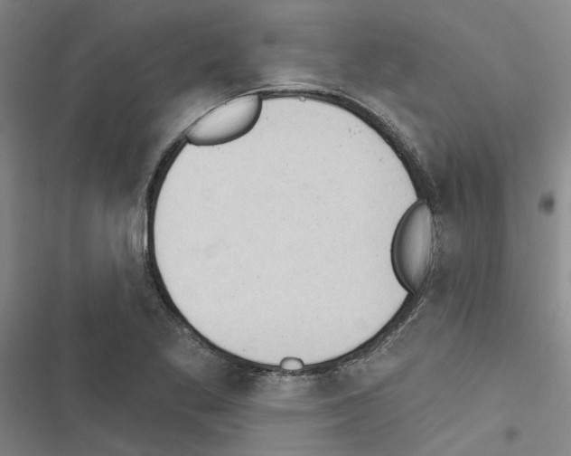 X0000116511269201001201437