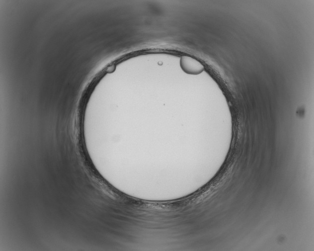 X0000116511270201001201437