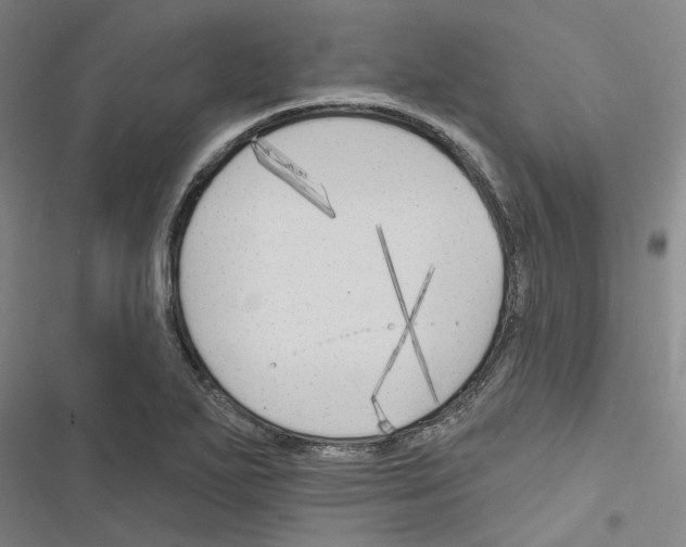 X0000116511271201001201437