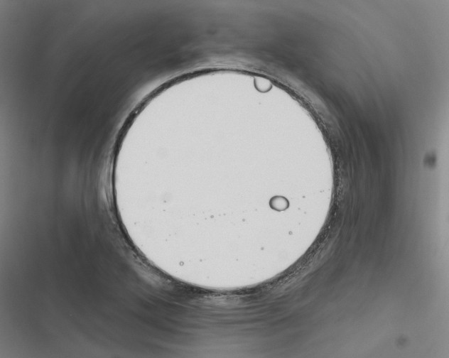X0000116511272201001201437