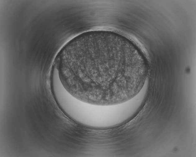 X0000116511276201001201437