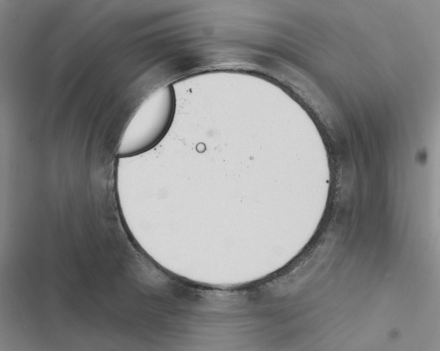 X0000116511281201001201437