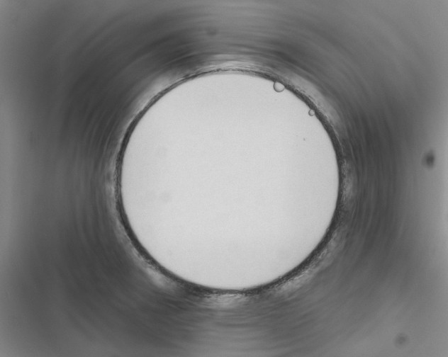 X0000116511282201001201437