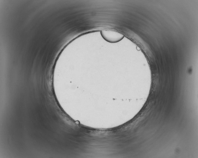 X0000116511284201001201437