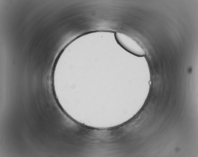 X0000116511285201001201437