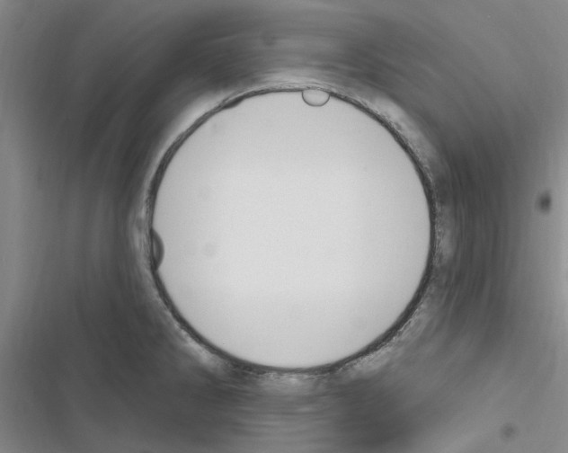 X0000116511286201001201437