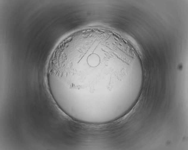 X0000116511288201001201437