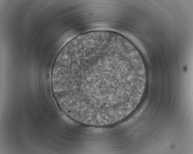 X0000116511289201001201437