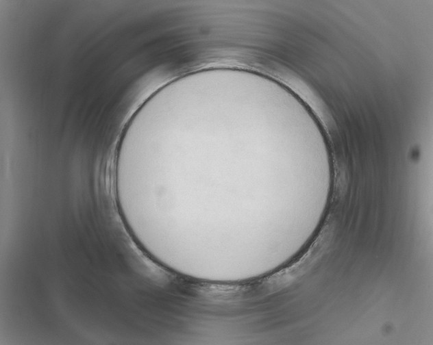 X0000116511290201001201437