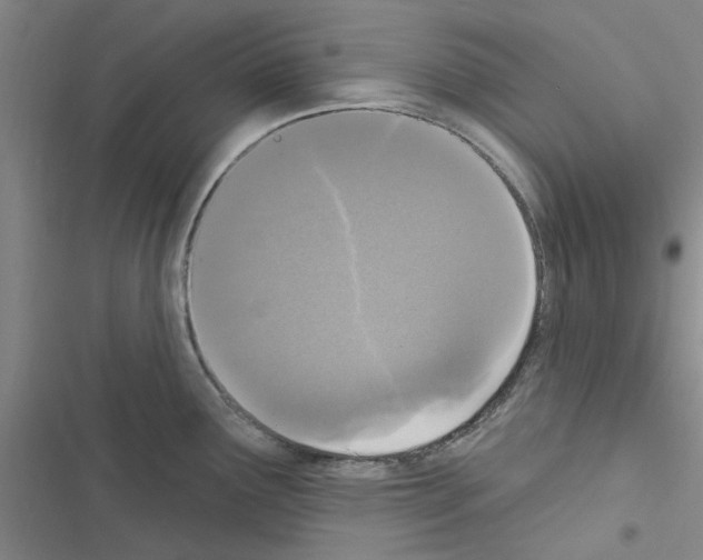 X0000116511291201001201437