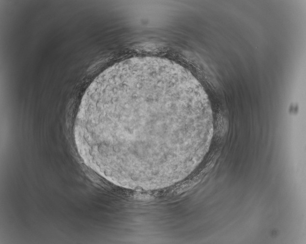 X0000116511297201001201436