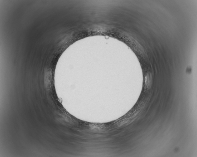 X0000116511299201001201436