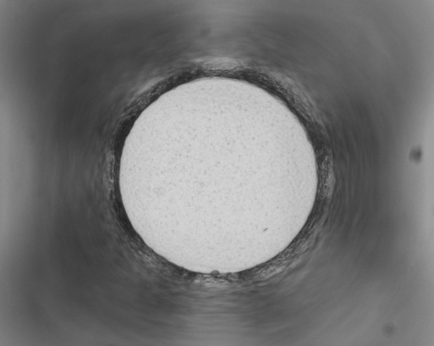 X0000116511301201001201436
