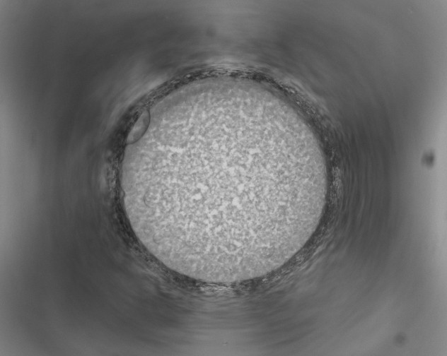 X0000116511302201001201436