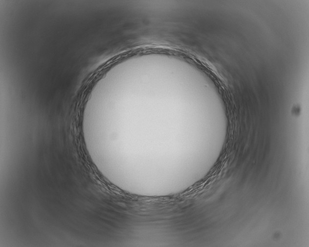 X0000116511303201001201437