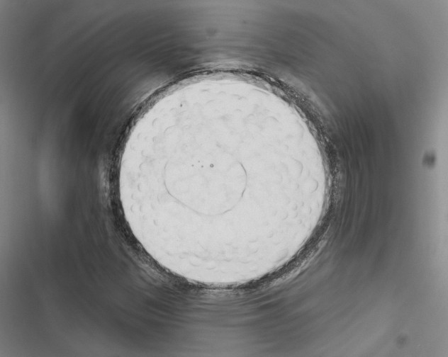 X0000116511305201001201437