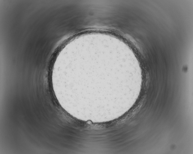 X0000116511307201001201437