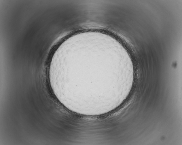 X0000116511309201001201437