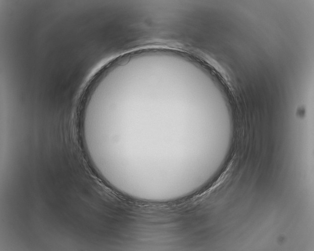 X0000116511310201001201437
