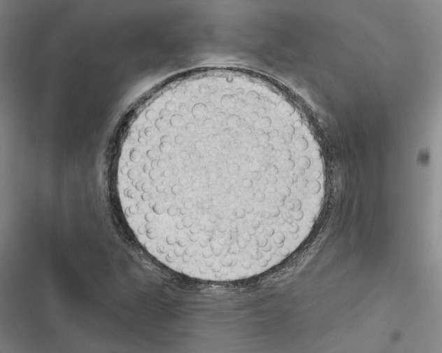 X0000116511311201001201437