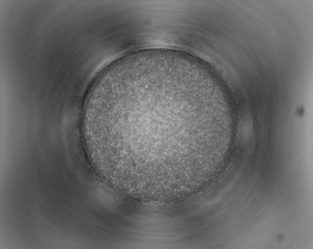 X0000116511314201001201437