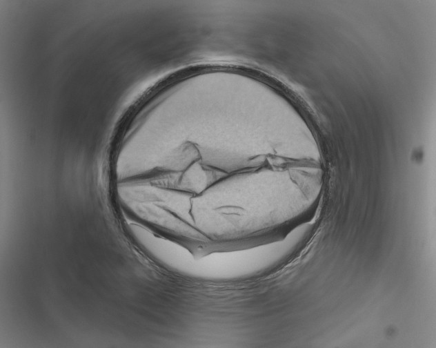 X0000116511319201001201437
