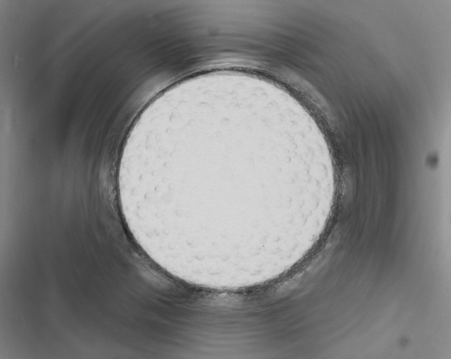 X0000116511321201001201437