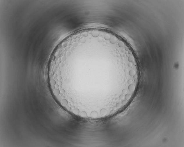 X0000116511322201001201437