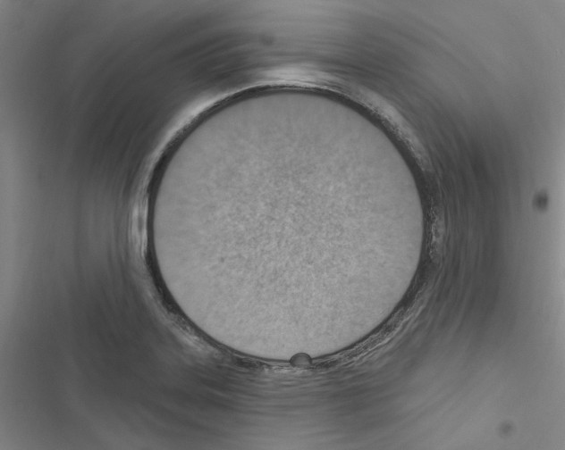 X0000116511323201001201437