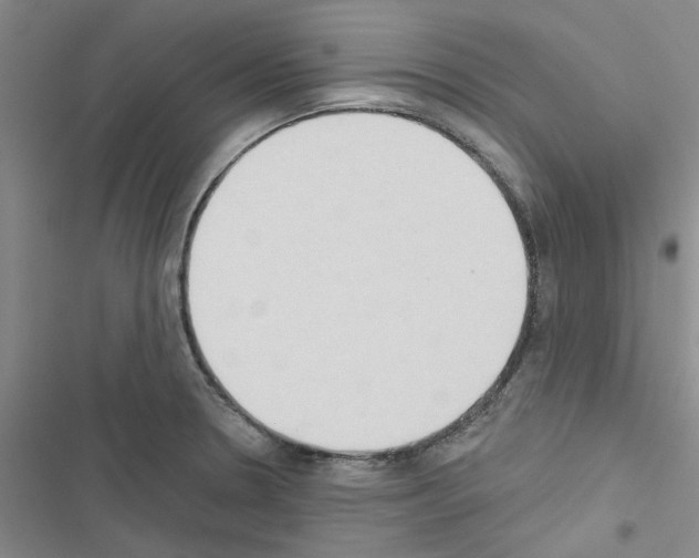 X0000116511330201001201437
