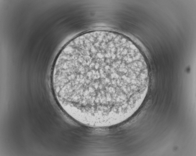 X0000116511333201001201437
