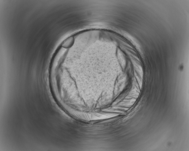 X0000116511334201001201437